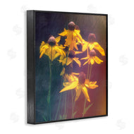 Daniel Sproul | Black-Eyed Susan Photography