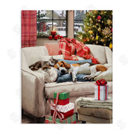 Jason Kirk | Pets on Holiday Couch