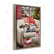 Jason Kirk | Pets on Holiday Couch