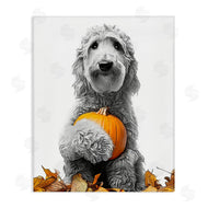 Annalisa Latella | Dog & Autumn Leaves
