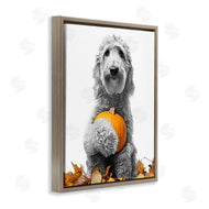 Annalisa Latella | Dog & Autumn Leaves