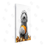 Annalisa Latella | Dog & Autumn Leaves