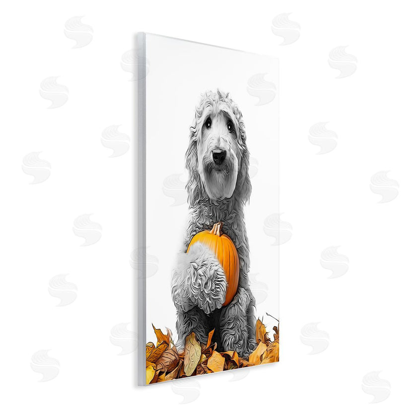 Annalisa Latella | Dog & Autumn Leaves
