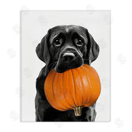 Annalisa Latella | Lab Dog with Pumpkin