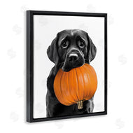 Annalisa Latella | Lab Dog with Pumpkin