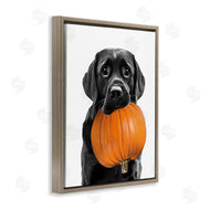 Annalisa Latella | Lab Dog with Pumpkin