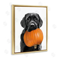 Annalisa Latella | Lab Dog with Pumpkin