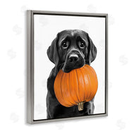 Annalisa Latella | Lab Dog with Pumpkin