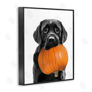Annalisa Latella | Lab Dog with Pumpkin