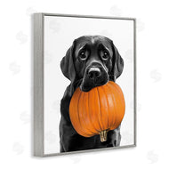 Annalisa Latella | Lab Dog with Pumpkin