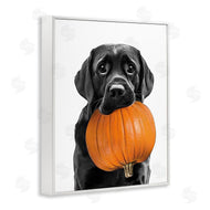 Annalisa Latella | Lab Dog with Pumpkin