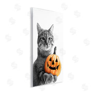Annalisa Latella | Cat & Jack-o-Lantern