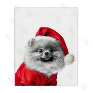 Annalisa Latella | Pomeranian in Santa Hat