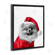 Annalisa Latella | Pomeranian in Santa Hat