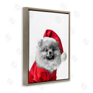 Annalisa Latella | Pomeranian in Santa Hat