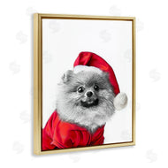 Annalisa Latella | Pomeranian in Santa Hat