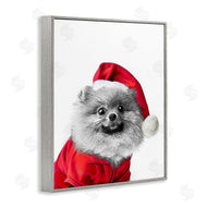 Annalisa Latella | Pomeranian in Santa Hat