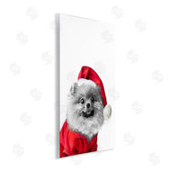 Annalisa Latella | Pomeranian in Santa Hat