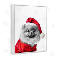 Annalisa Latella | Pomeranian in Santa Hat