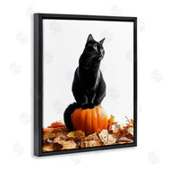 Annalisa Latella | Black Cat & Pumpkin