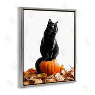 Annalisa Latella | Black Cat & Pumpkin