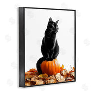 Annalisa Latella | Black Cat & Pumpkin