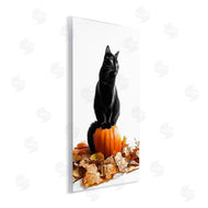 Annalisa Latella | Black Cat & Pumpkin