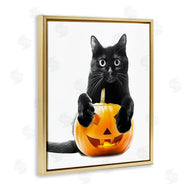 Annalisa Latella | Black Cat & Jack-o-Lantern
