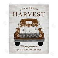 Lettered and Lined | Farm Pumpkin Harvest