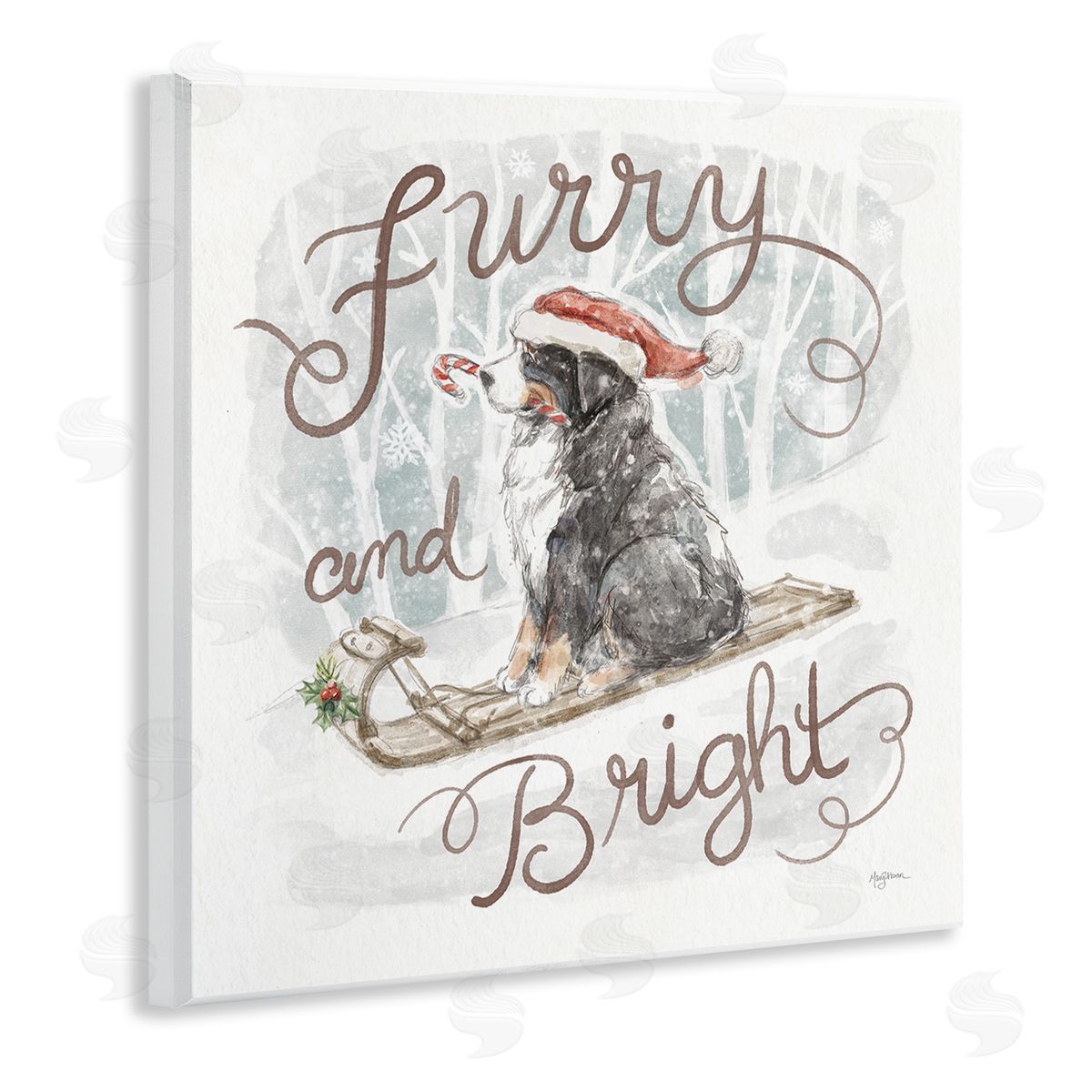 Mary Urban | Furry & Bright Dog