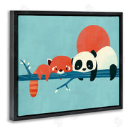Jay Fleck | Pandas on Branch