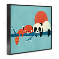 Jay Fleck | Pandas on Branch