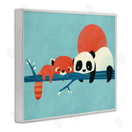 Jay Fleck | Pandas on Branch