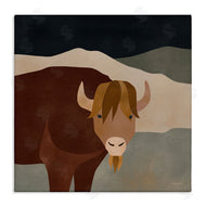 Rachel Nieman | Modern Cattle Portrait