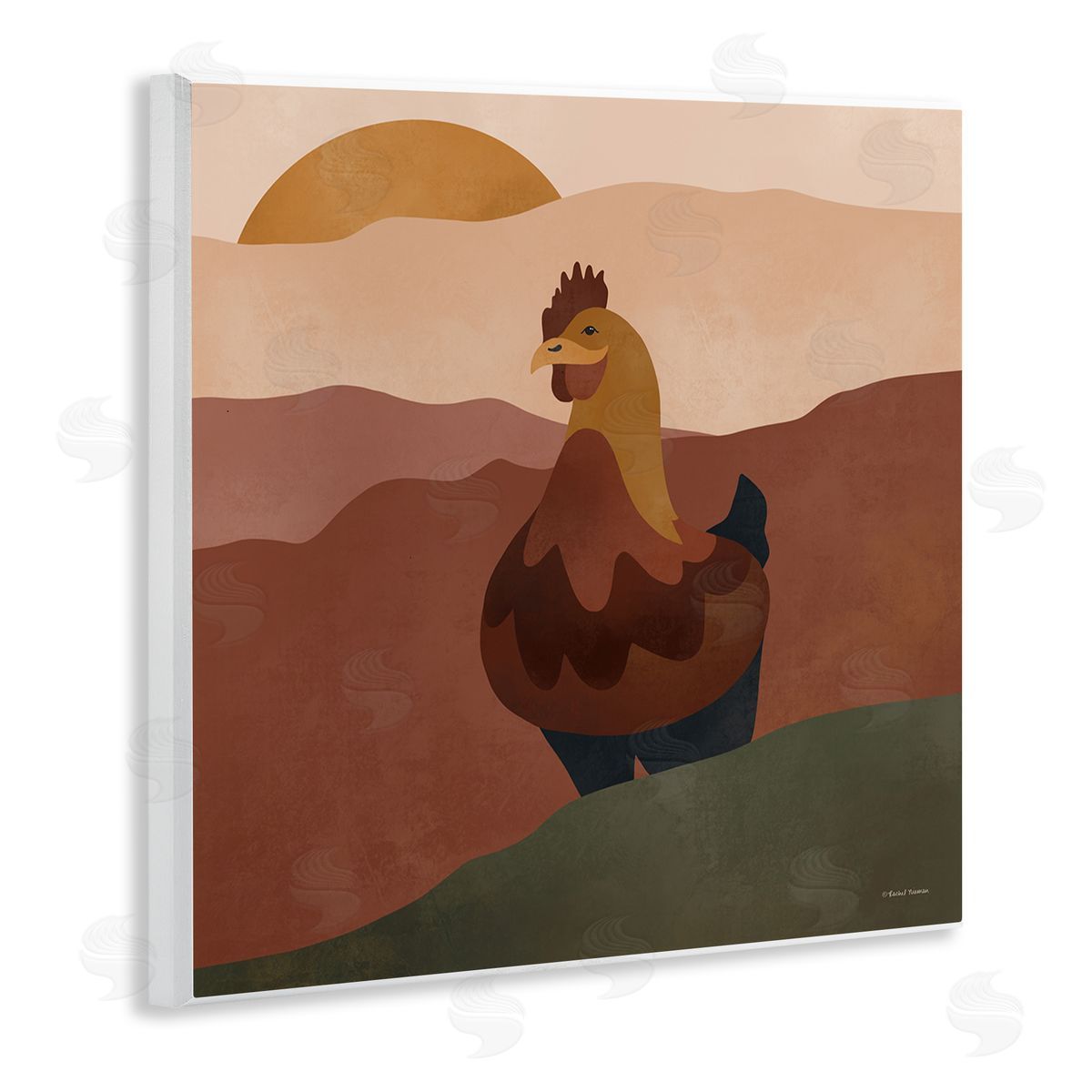 Rachel Nieman | Rooster in Nature