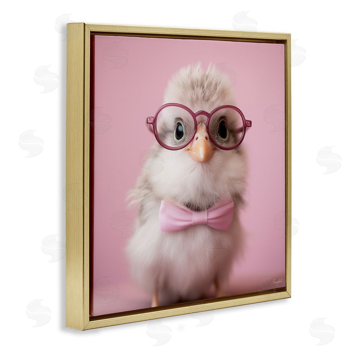 Roozbeh | Bird With Pink Bowtie
