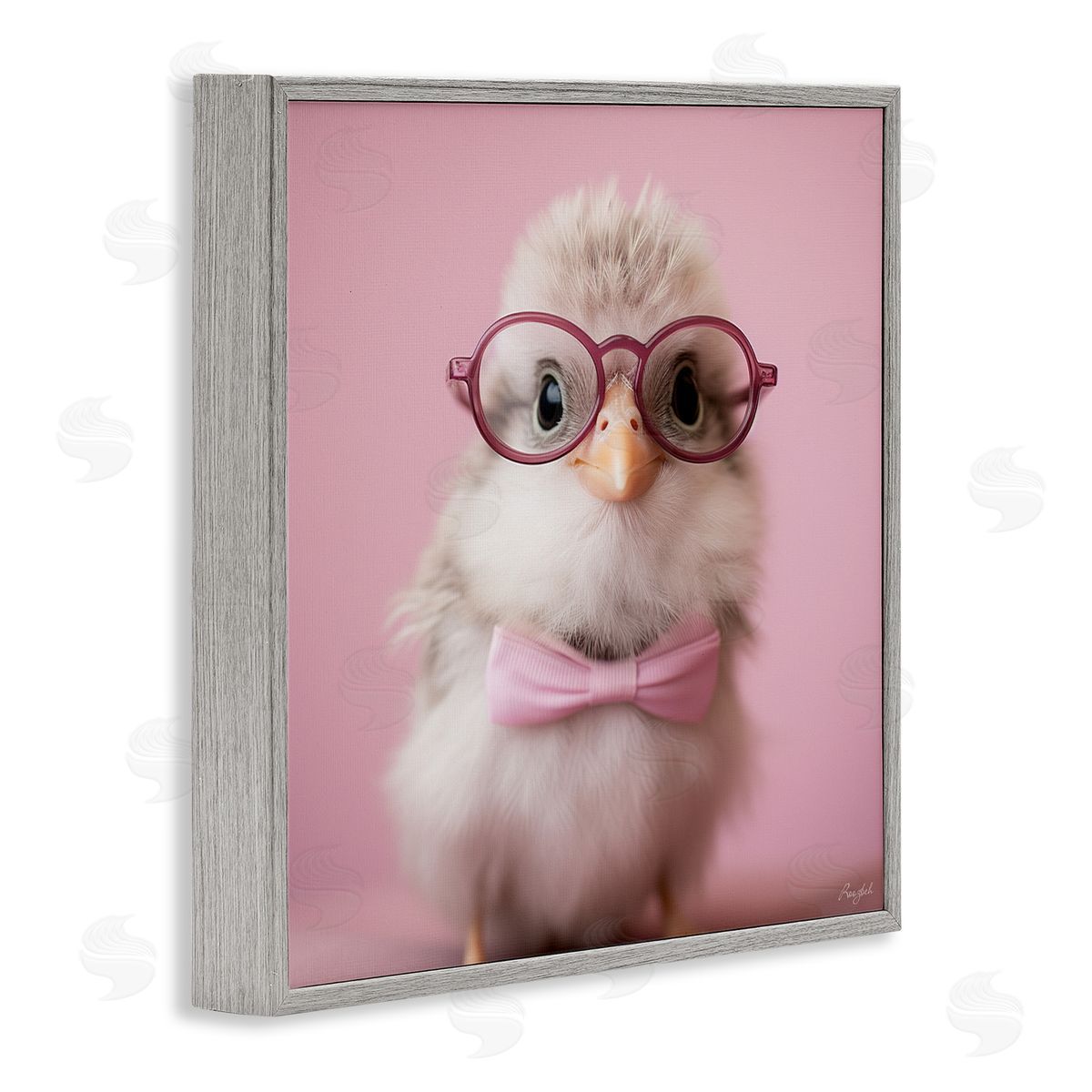 Roozbeh Bird With Pink Bowtie Gray Framed Giclee Wall Artside_