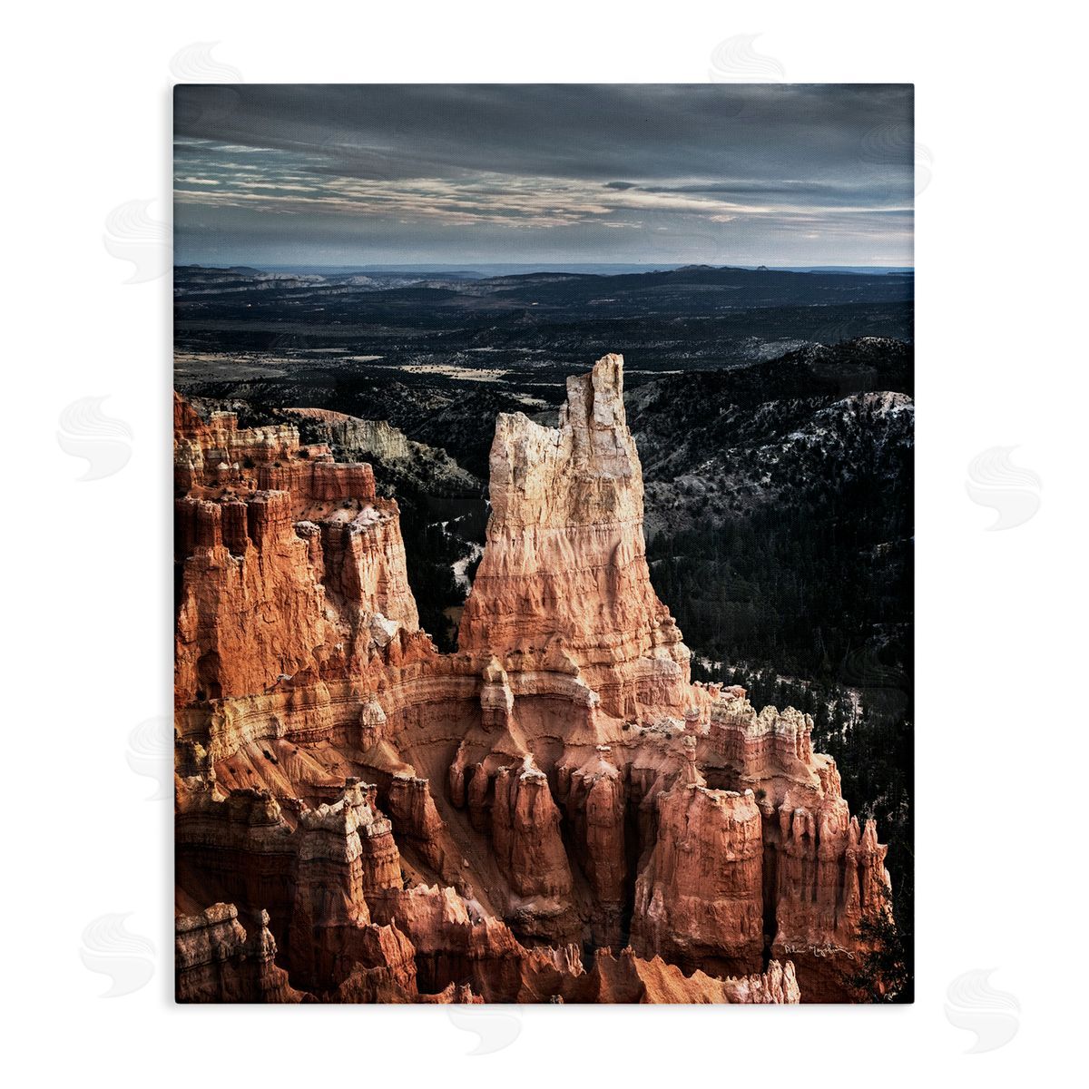 Alan Majchrowicz | Canyon Butte Photography
