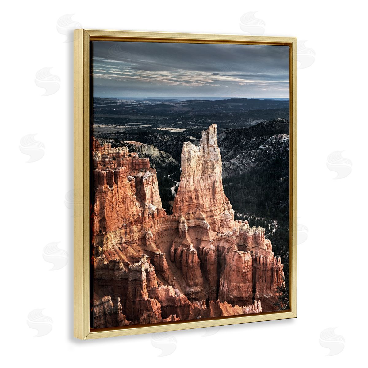 Alan Majchrowicz Canyon Butte Photography Gold Floater Frame Canvas Artside_
