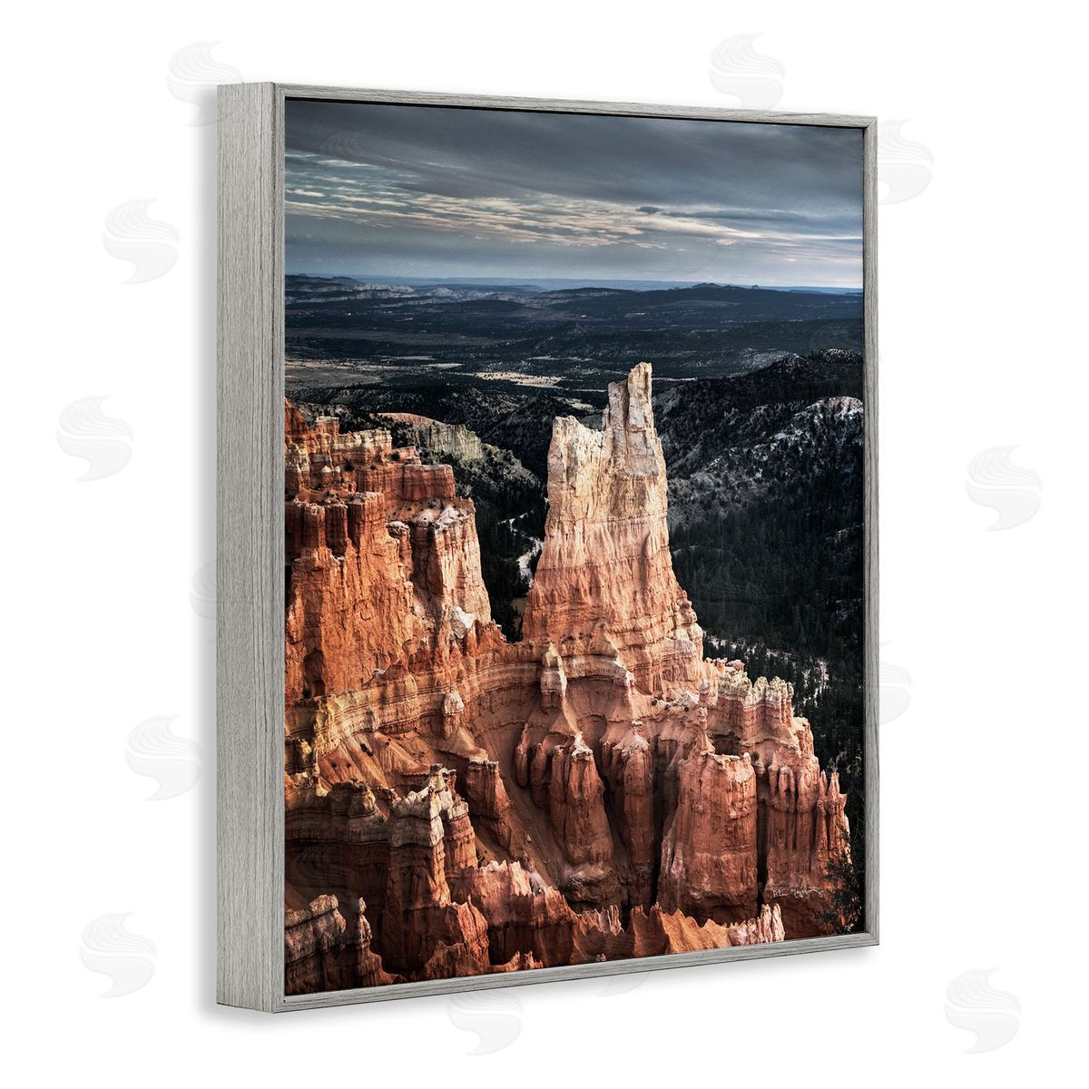 Alan Majchrowicz Canyon Butte Photography Gray Framed Giclee Wall Artside_
