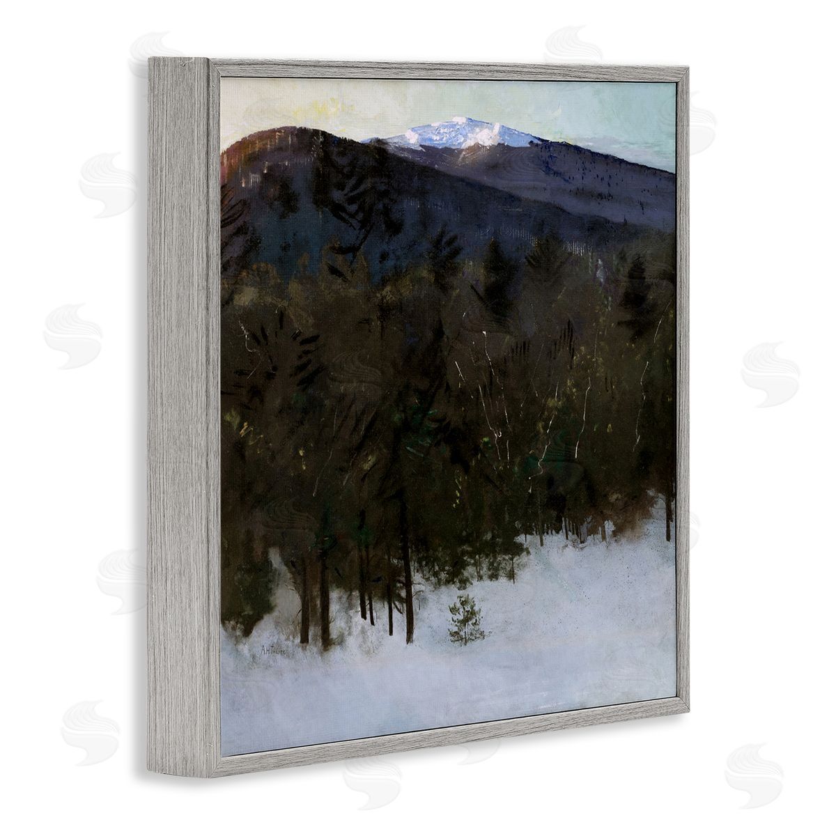 Abbott Handerson Thayer Winter Nature Painting Gray Framed Giclee Wall Artside_