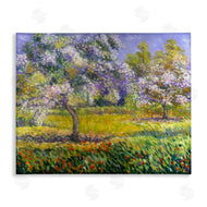 Alexi Fine | Spring Blooming Trees