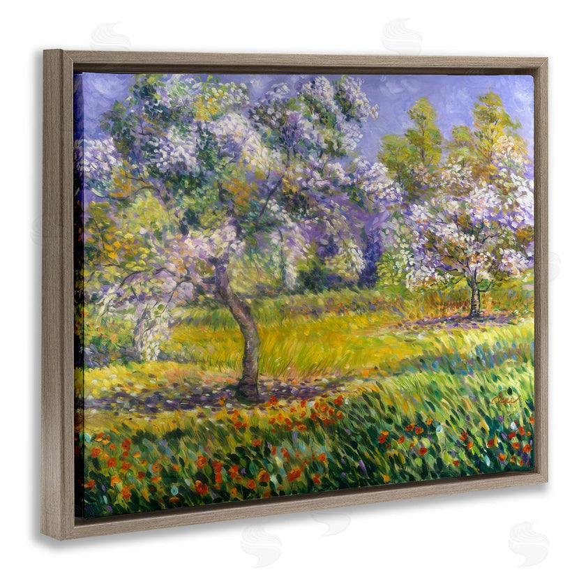 Alexi Fine | Spring Blooming Trees