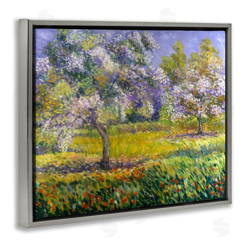 Alexi Fine | Spring Blooming Trees