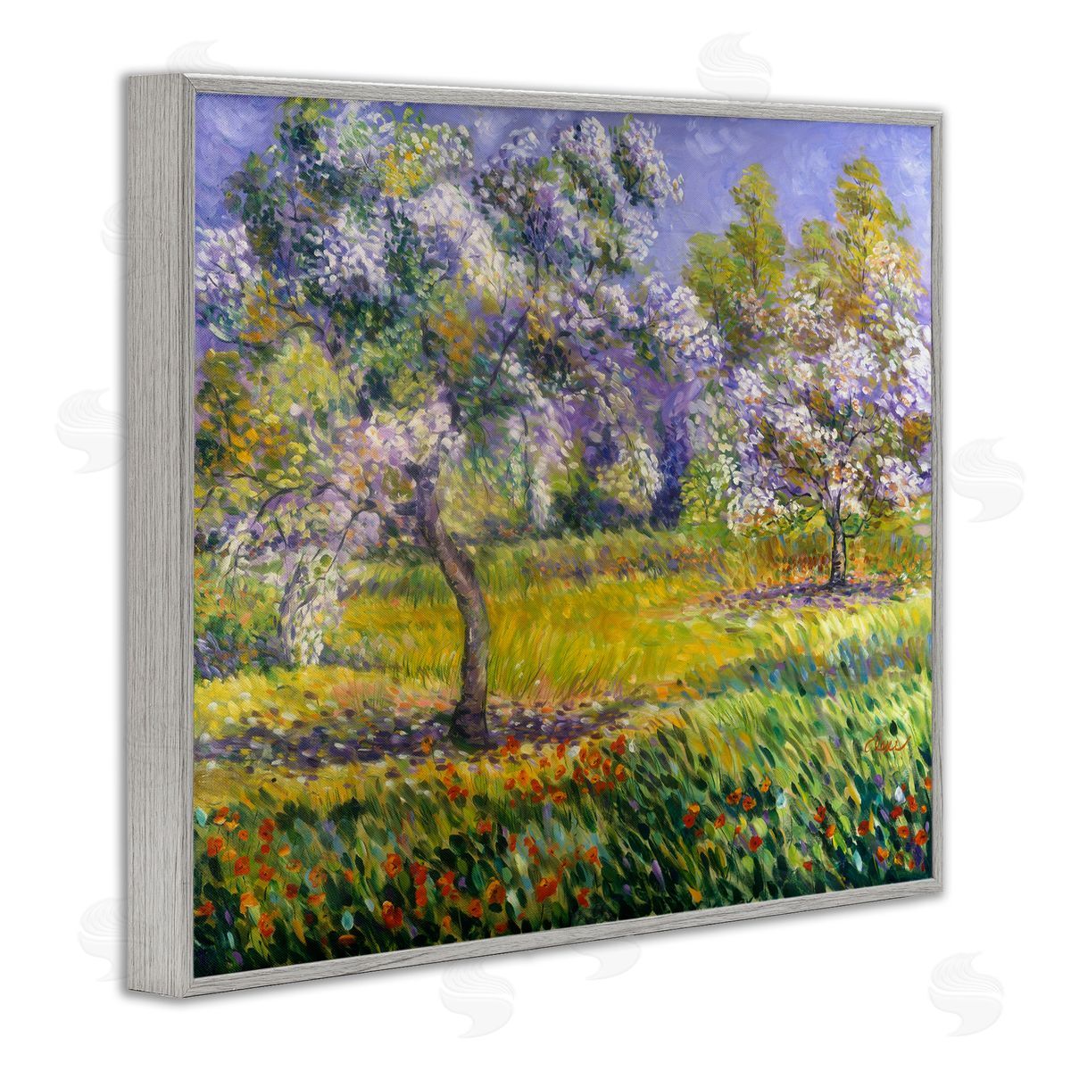 Alexi Fine | Spring Blooming Trees
