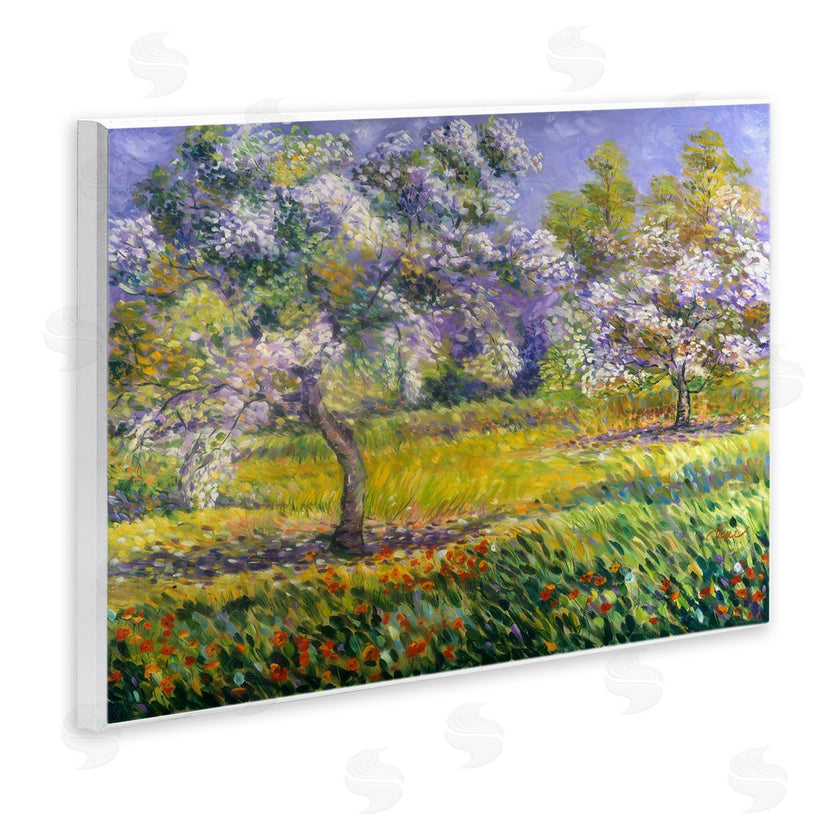 Alexi Fine | Spring Blooming Trees