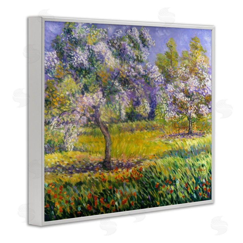 Alexi Fine | Spring Blooming Trees