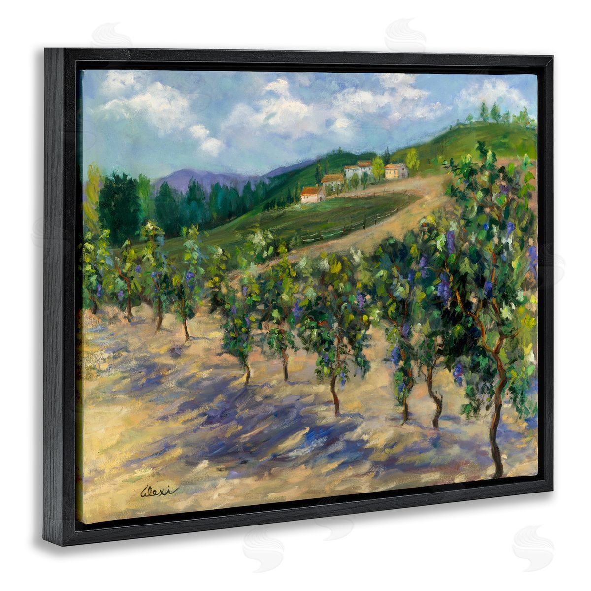 Alexi Fine | Rural Vineyard Painting