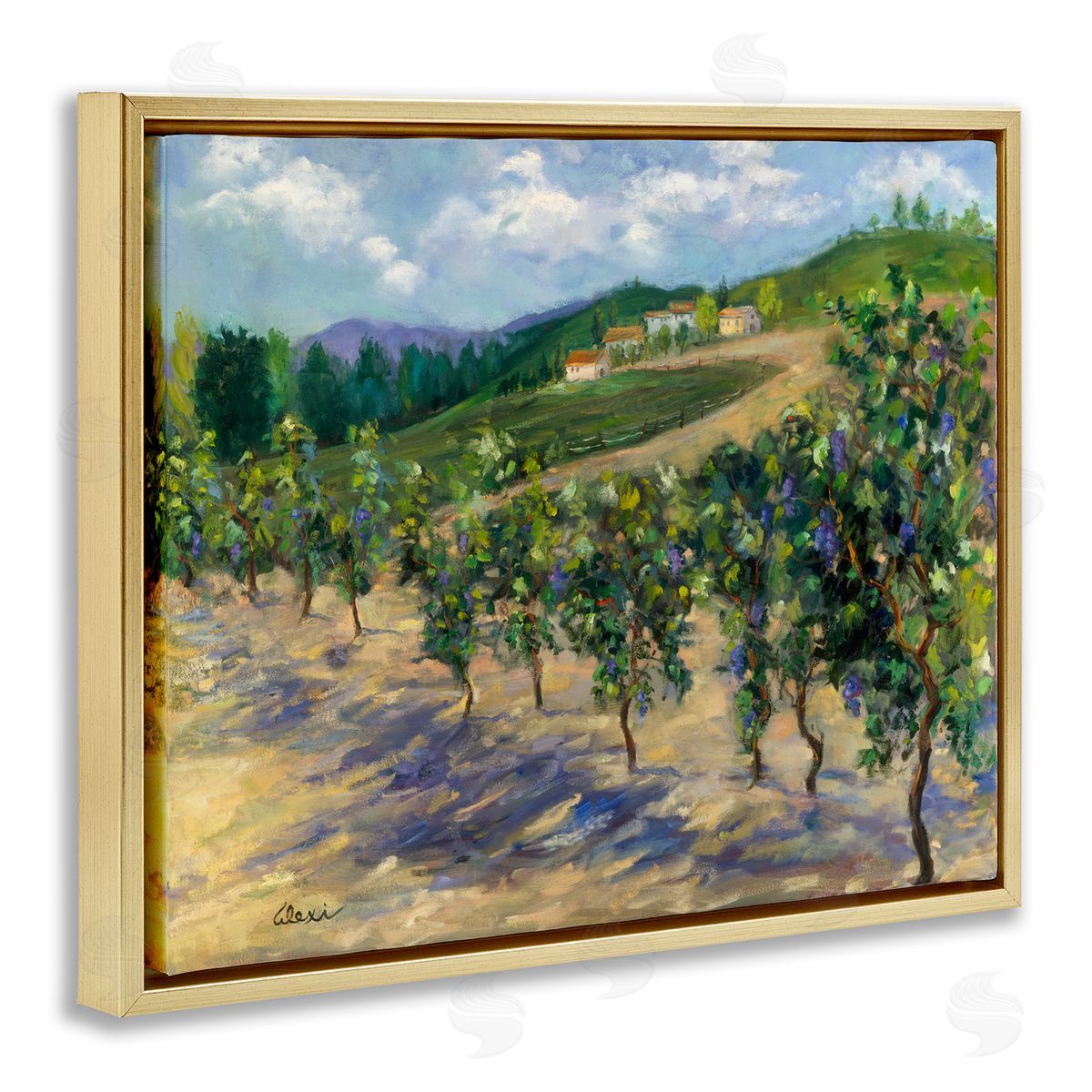 Alexi Fine | Rural Vineyard Painting