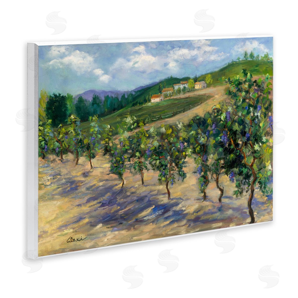 Alexi Fine | Rural Vineyard Painting